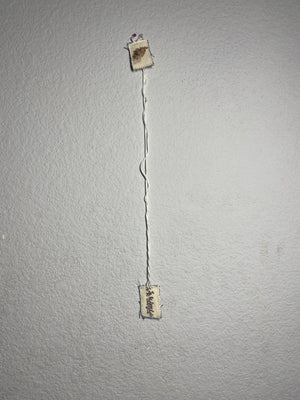 ‘underdog’ escapulario