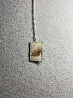 ‘underdog’ escapulario